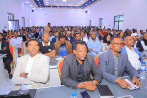 Dandeettii Raawwachiistummaa Cimsuu